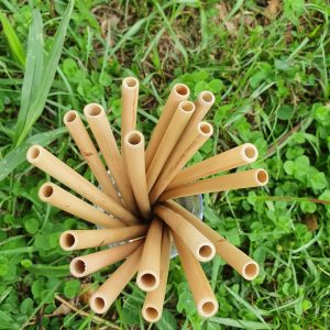 MiEco bamboo straws