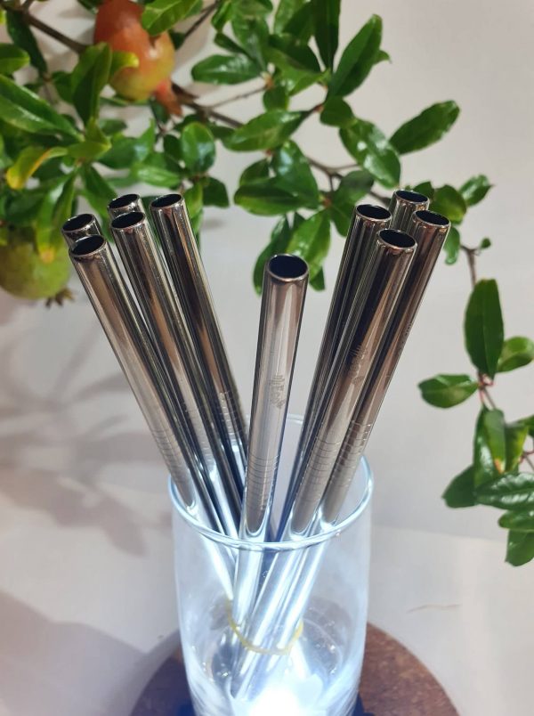 MiEco stainless steel straws