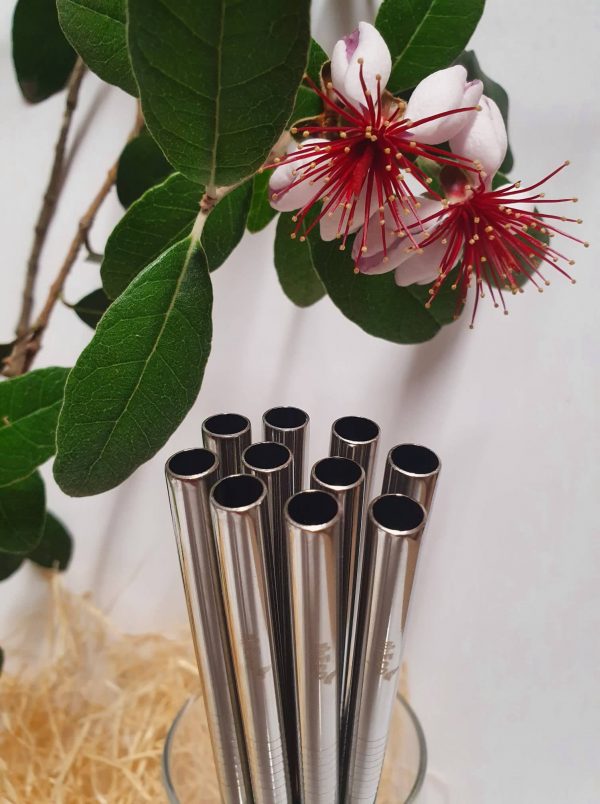 MiEco stainless steel straws